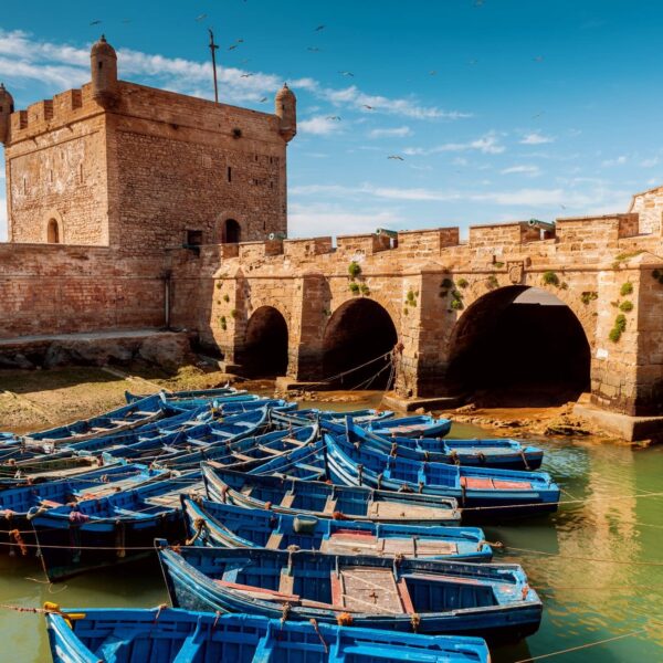 Day trip to Essaouira