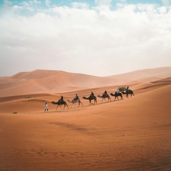 11 Days Best Trails of Morocco Tour from Marrakech