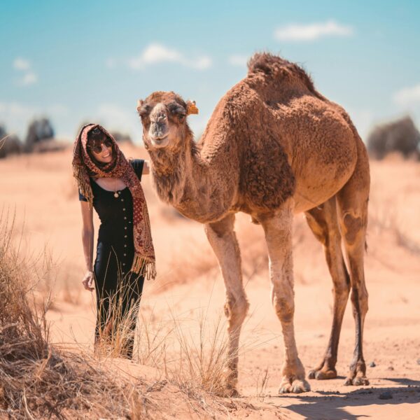 Marrakech to Merzouga: 3-Day Camel Trek & Rose Valley Tour