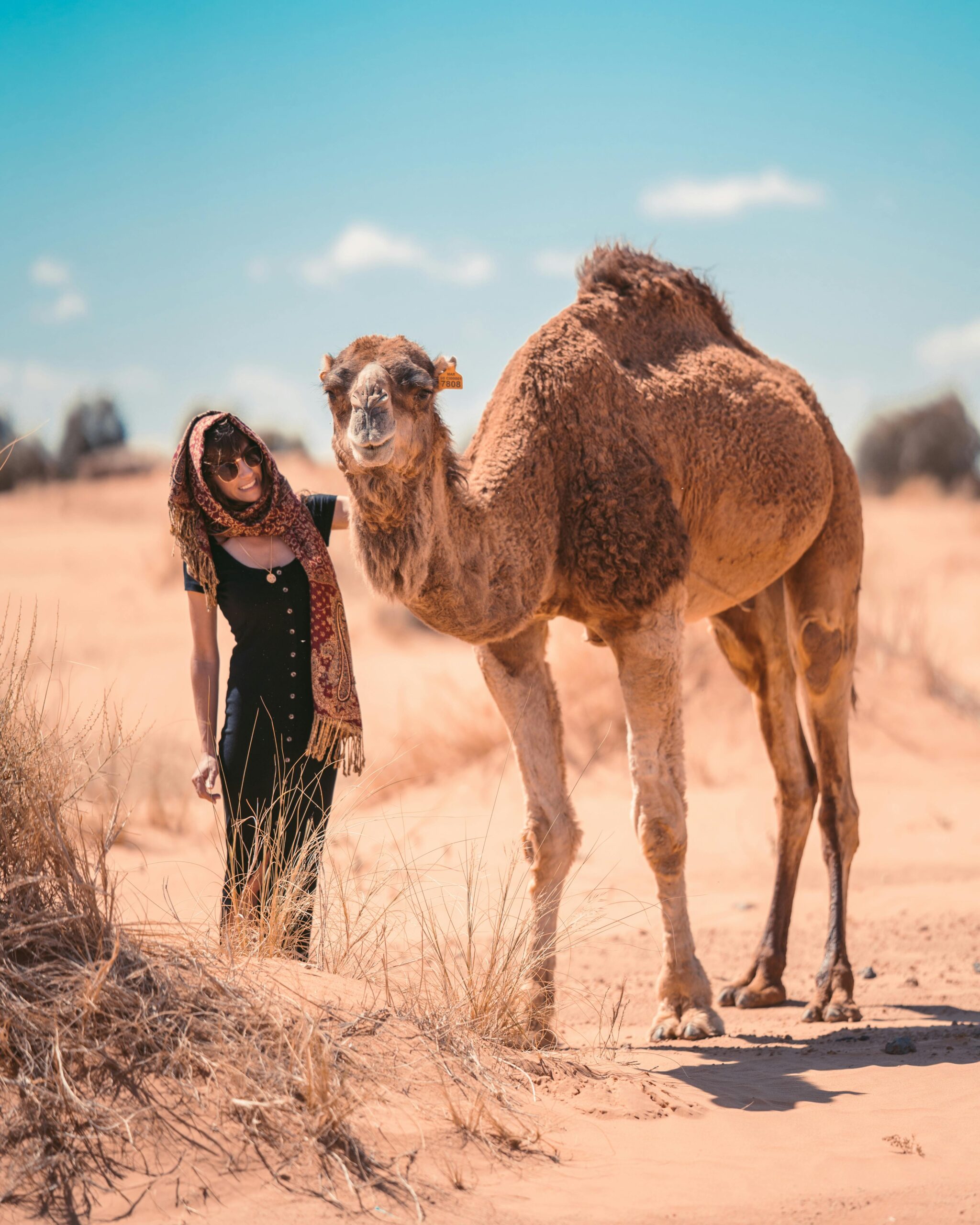 Marrakech to Merzouga: 3-Day Camel Trek & Rose Valley Tour