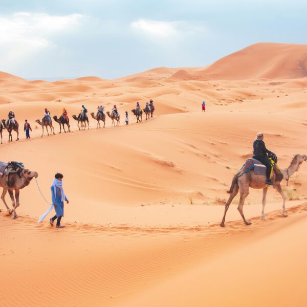 8 Days Camel Trekking Tour From Casablanca To Marrakech
